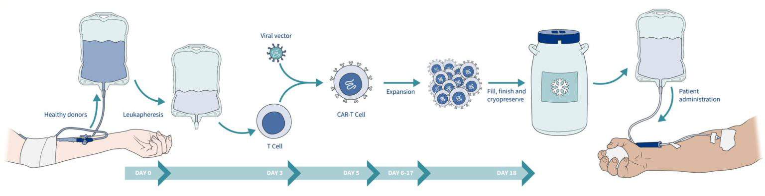 manufacturing of allogeneic CAR-T cells