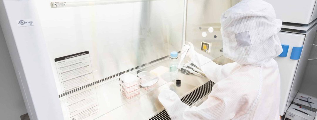 A scientist in sterile coverall gown pipetting medium or reagents for cell culture experiment in biological safety cabinet. Doing biological research in clean environmental. Cleanroom facility